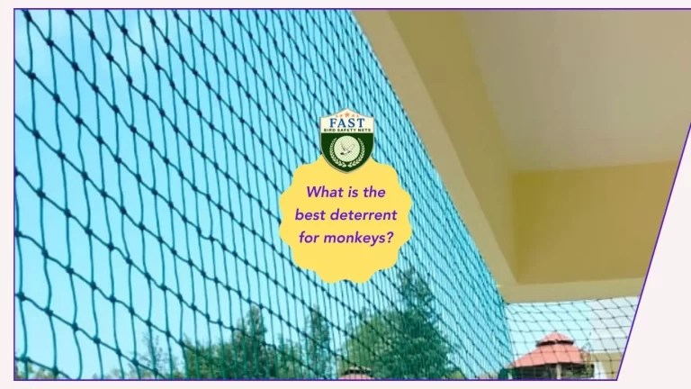 What is the best deterrent for monkeys?