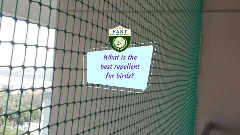 What is the best repellent for birds?