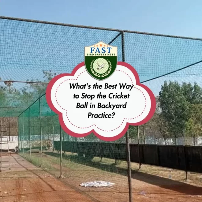 What’s the Best Way to Stop the Cricket Balls in Backyard Practice?