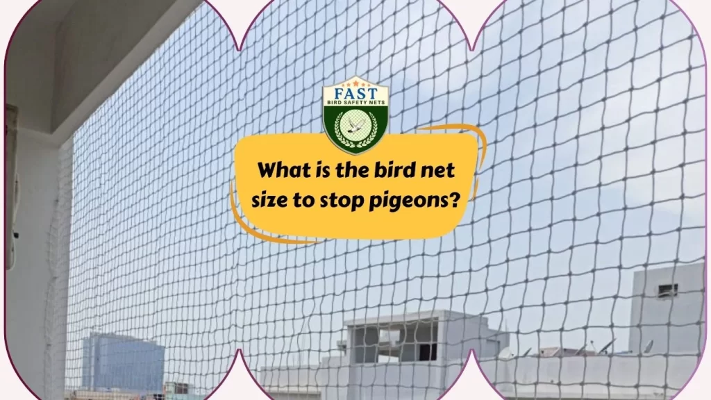 What is the bird net size to stop pigeons