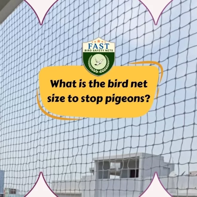 What is the bird net size to stop pigeons?