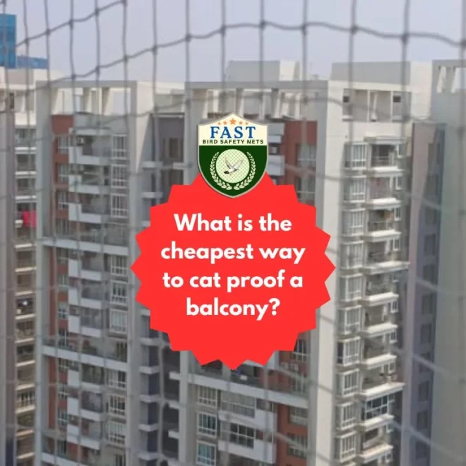 What is the cheapest way to cat proof a balcony?