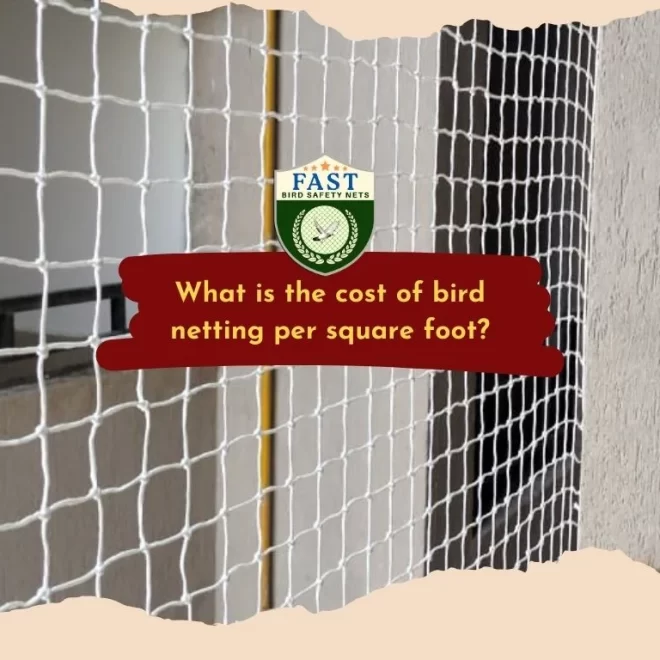 What is the cost of bird netting per square foot?