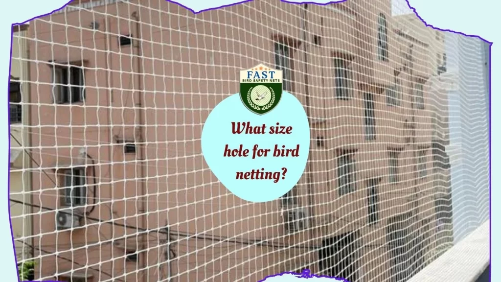 What size hole for bird netting?