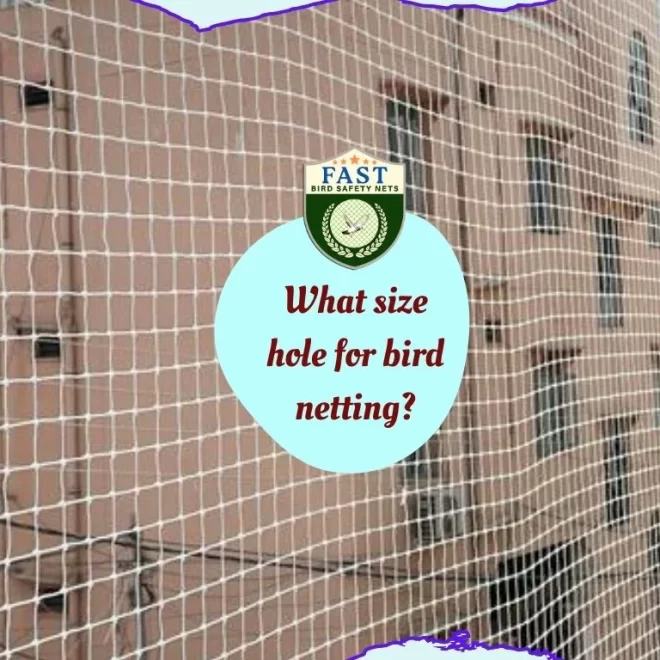What size hole for bird netting?