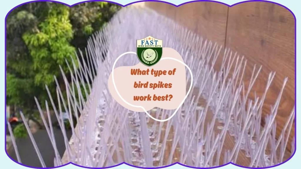 What type of bird spikes work best?