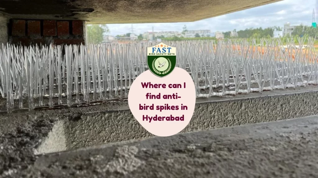 Where can I find anti-bird spikes in Hyderabad