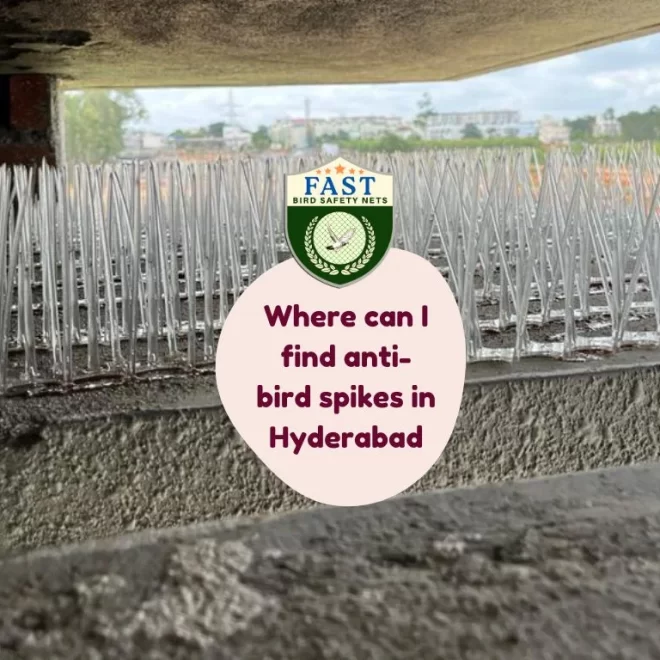 Where can I find anti-bird spikes in Hyderabad