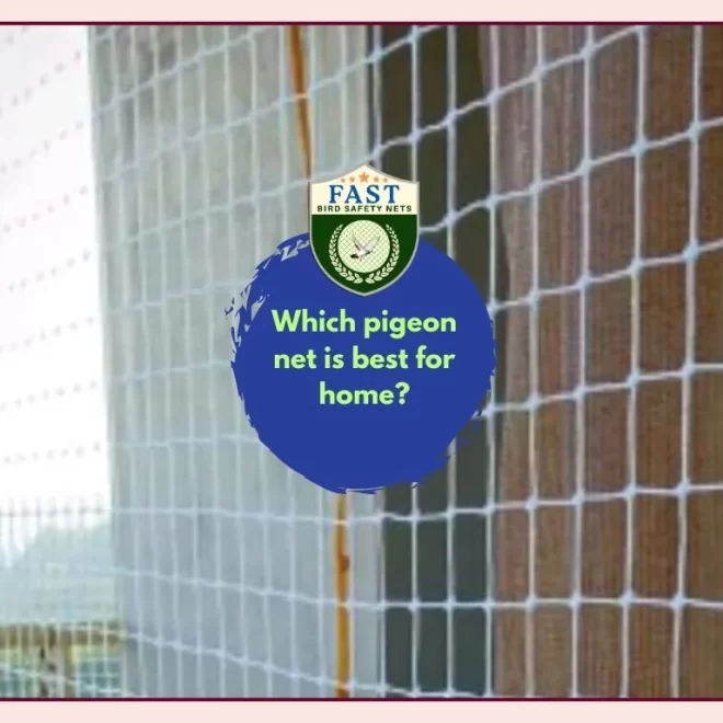 Which pigeon net is best for home?