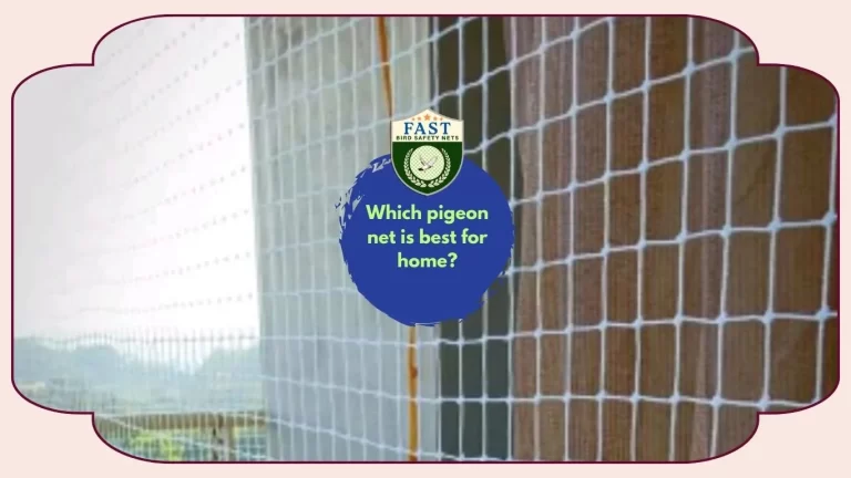 Which pigeon net is best for home?