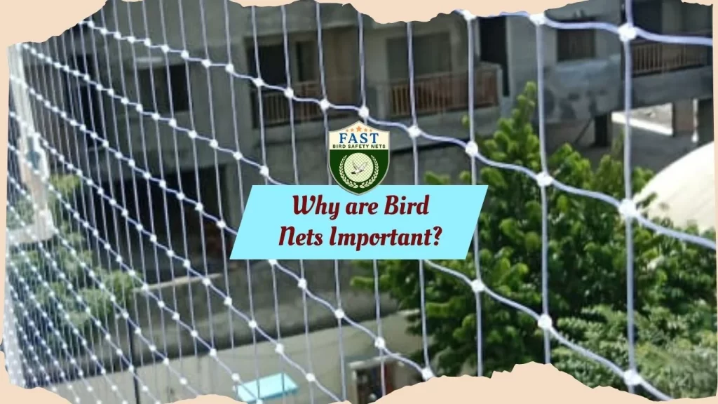 Why are Bird Nets are Important