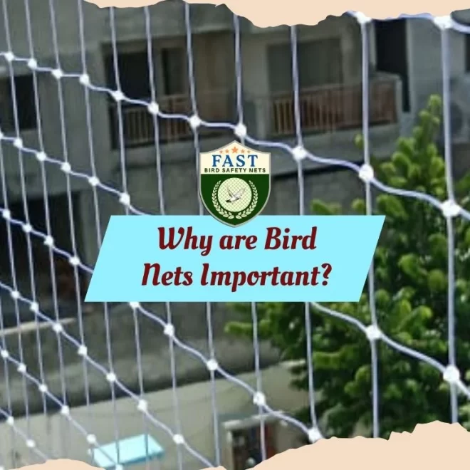 Why are Bird Nets Important?