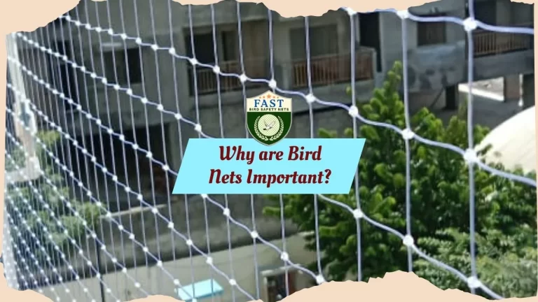 Why are Bird Nets Important?