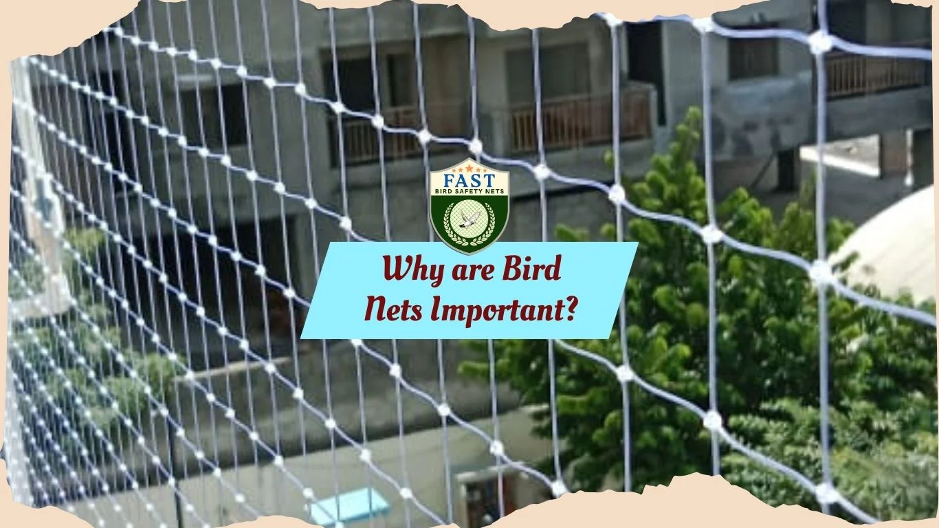 Why are Bird Nets Important? Fast Safety Nets Hyderabad 9363632161