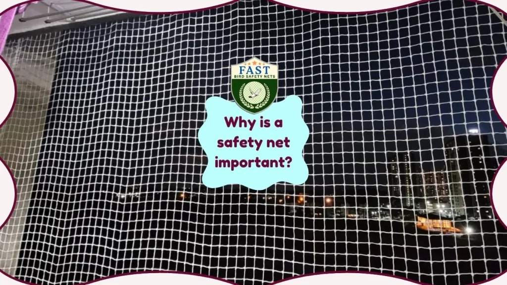 Why is a safety net important?