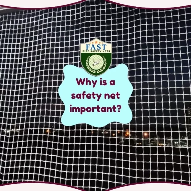 Why is a safety net important?
