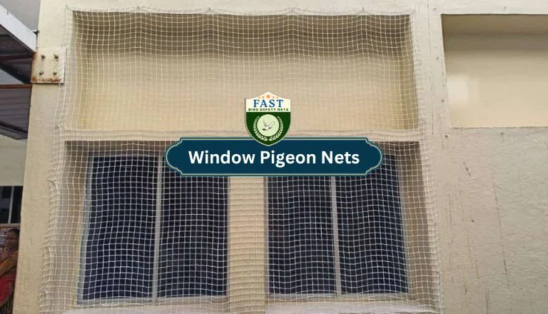 Window Pigeon Nets