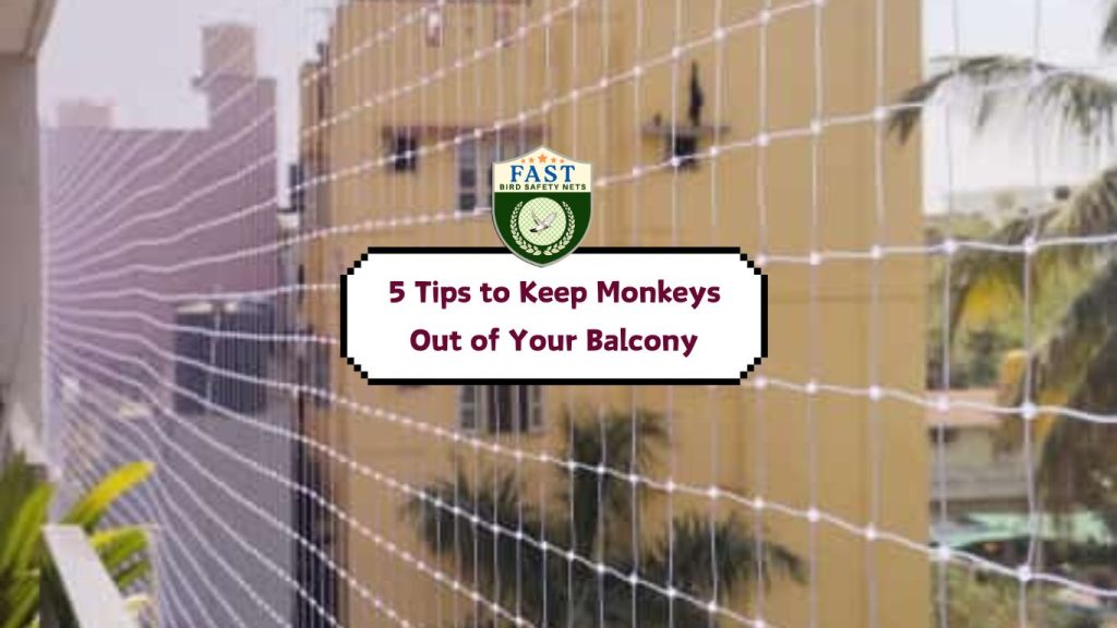 5 Tips to Keep Monkeys Out of Your Balcony