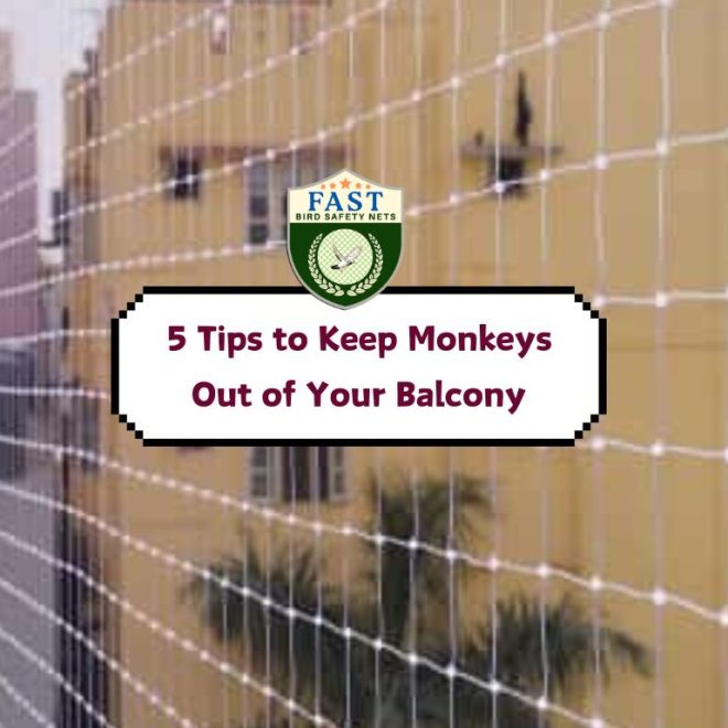 5 Tips to Keep Monkeys Out of Your Balcony