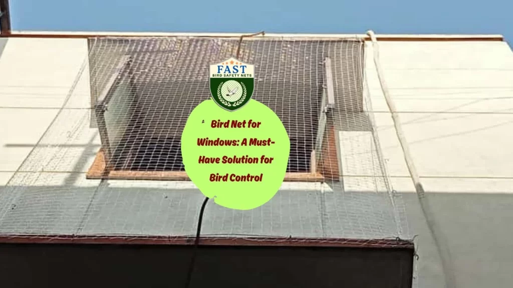 Bird Net for Windows: A Must-Have Solution for Bird Control