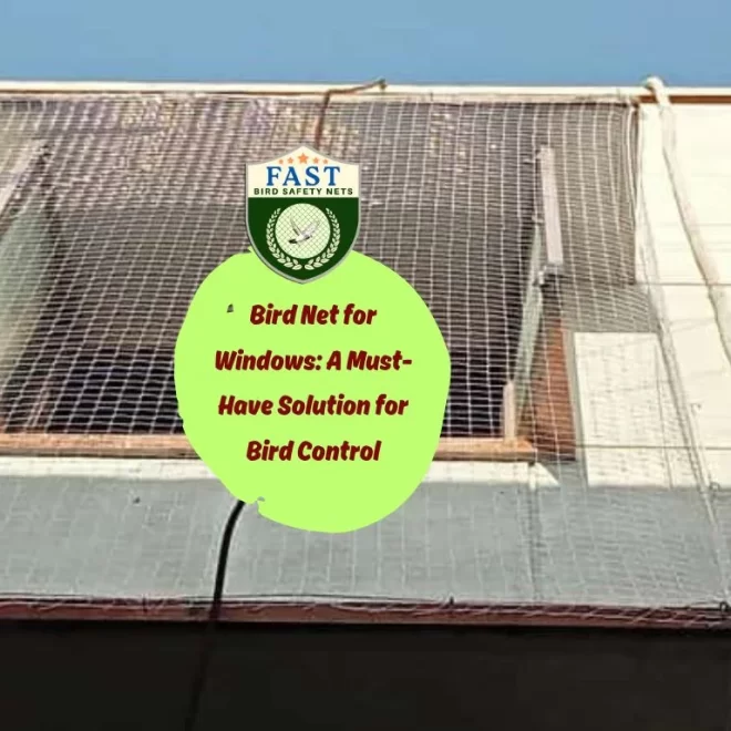 Bird Net for Windows: A Must-Have Solution for Bird Control