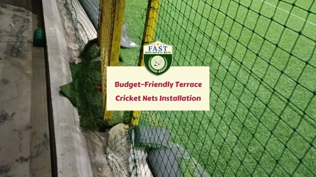 Budget-Friendly Terrace Cricket Nets Installation