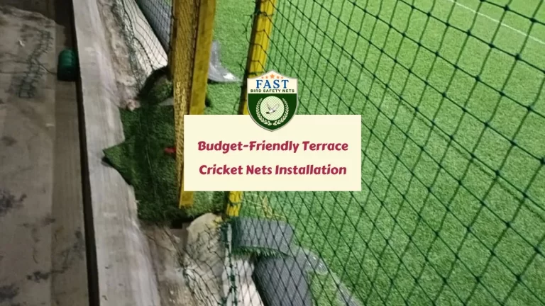 Budget-Friendly Terrace Cricket Practice Nets Installation