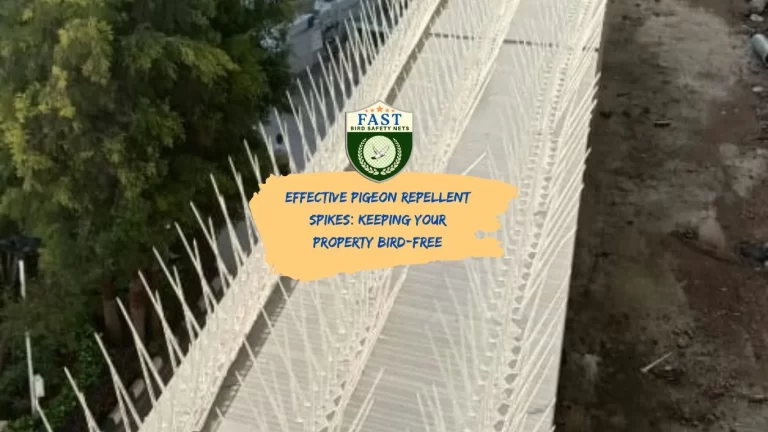 Effective Pigeon Repellent Spike: Keeping Your Property Bird-Free