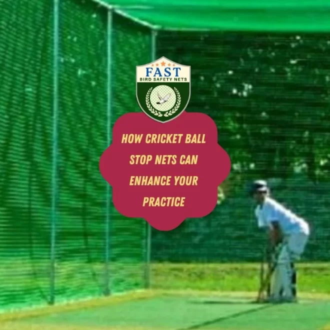 How Cricket Ball Stop Nets Can Enhance Your Practice