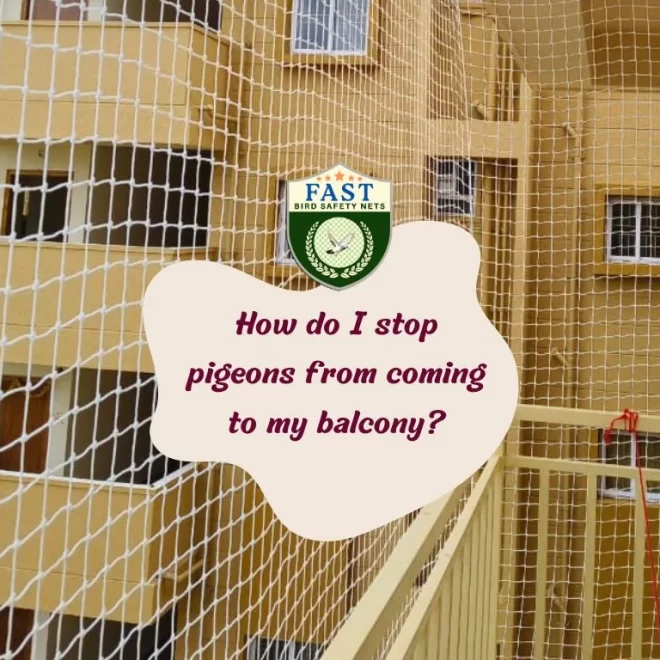How do I stop pigeons from coming to my balcony?
