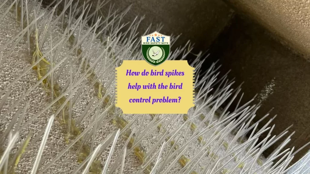 How do bird spikes help with the bird control problem?