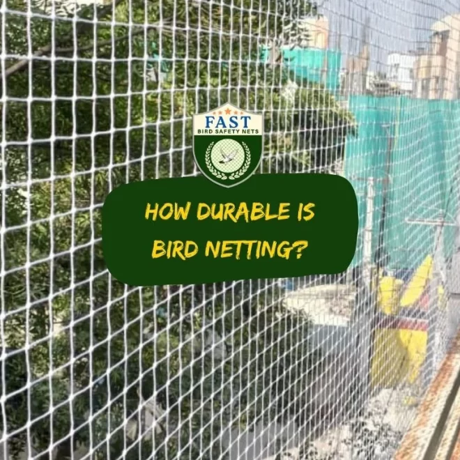 How durable is bird netting?