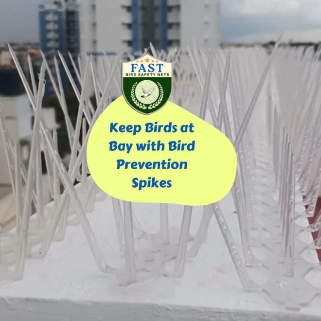 Keep Birds at Bay with Bird Prevention Spikes