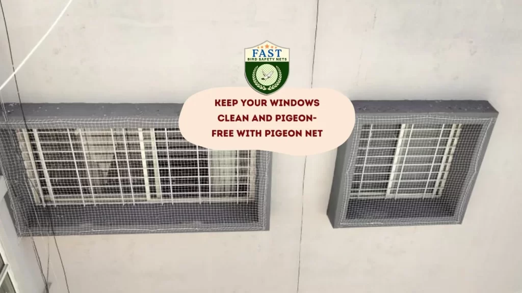 Keep Your Windows Clean and Pigeon-Free with Pigeon Net