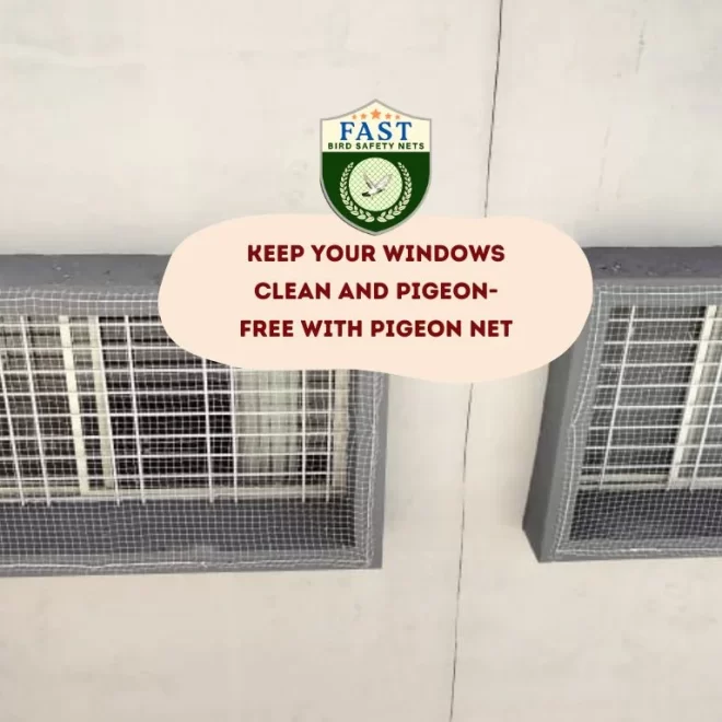 Keep Your Windows Clean and Pigeon-Free with Pigeon Net