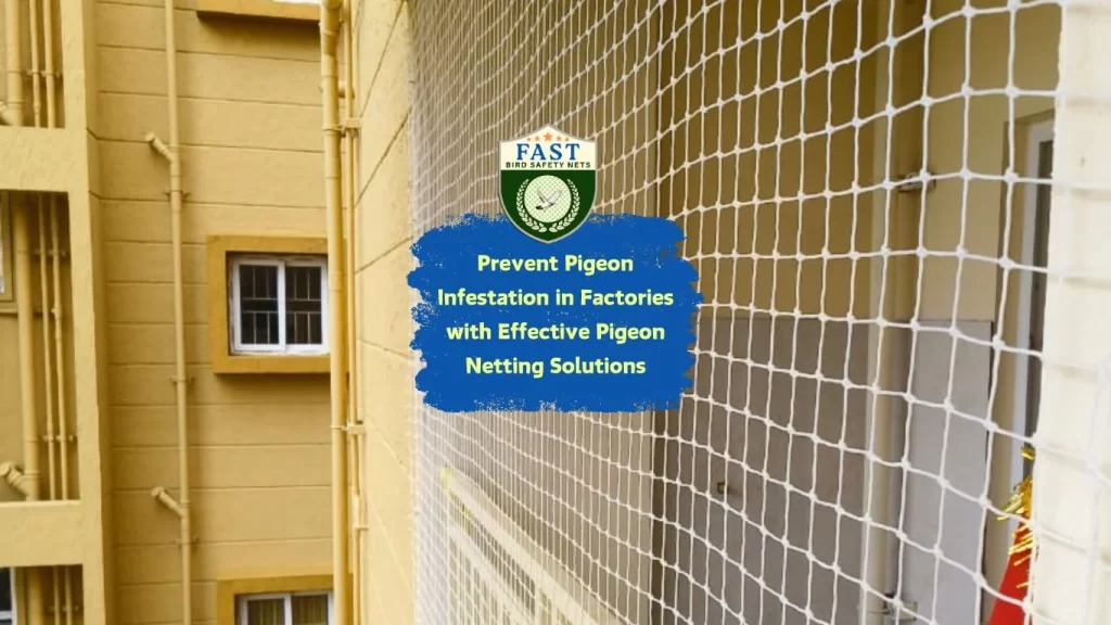 Prevent Pigeon Infestation in Factories with Effective Pigeon Netting Solutions