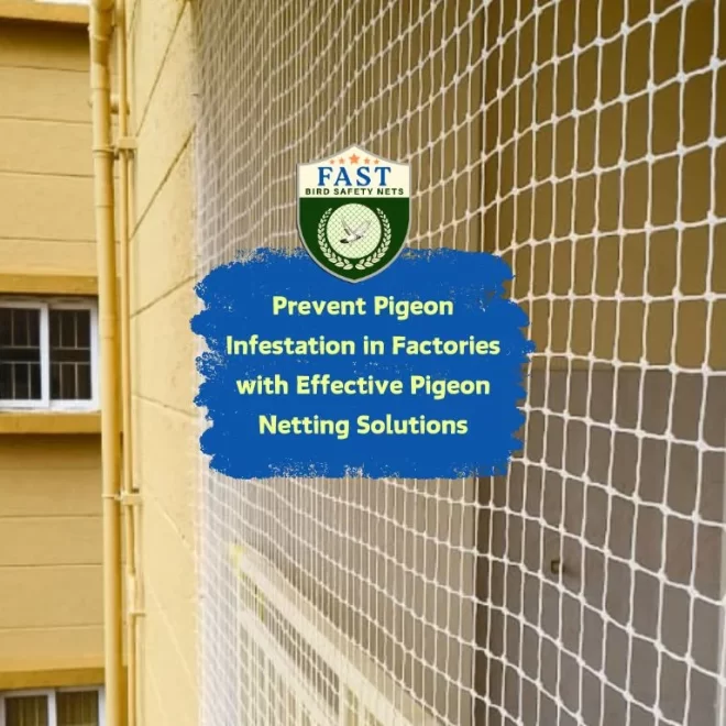 Prevent Pigeon Infestation in Factories with Effective Pigeon Netting Solutions