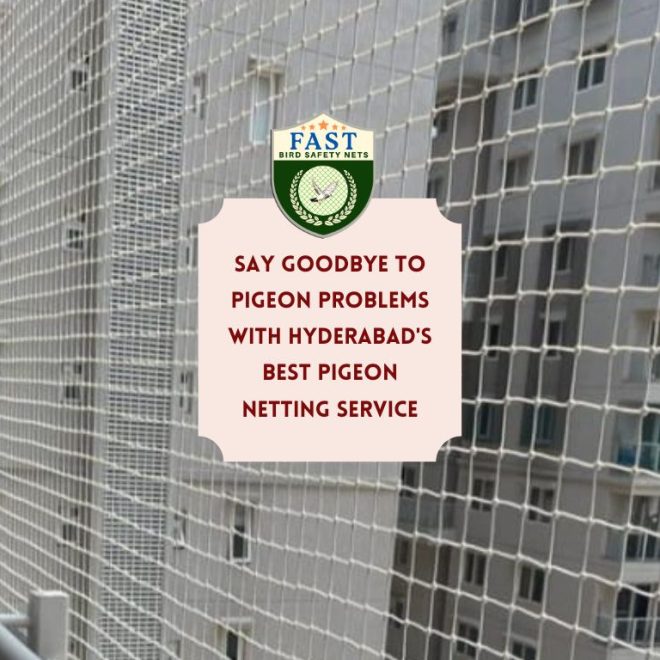 Say Goodbye to Pigeon Problems with Hyderabad’s Best Pigeon Netting Service