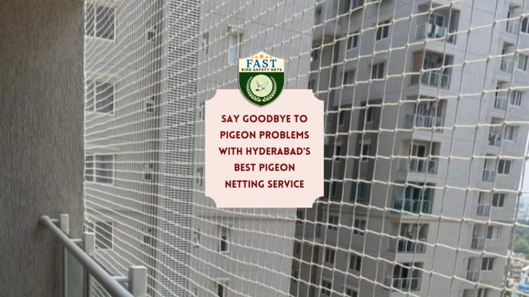 Say Goodbye to Pigeon Problems with Hyderabad’s Best Pigeon Netting Service