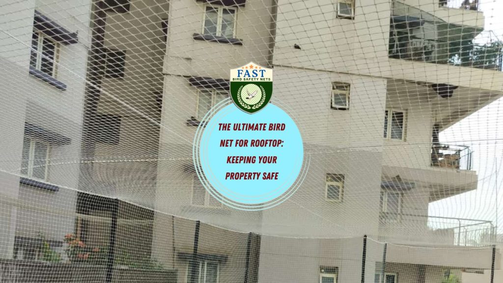 The Ultimate Bird Net for Rooftop: Keeping Your Property Safe