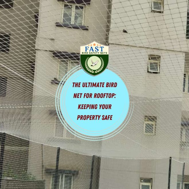 The Ultimate Bird Net for Rooftop: Keeping Your Property Safe