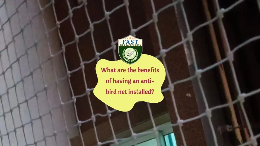 What are the benefits of having an anti-bird net installed?