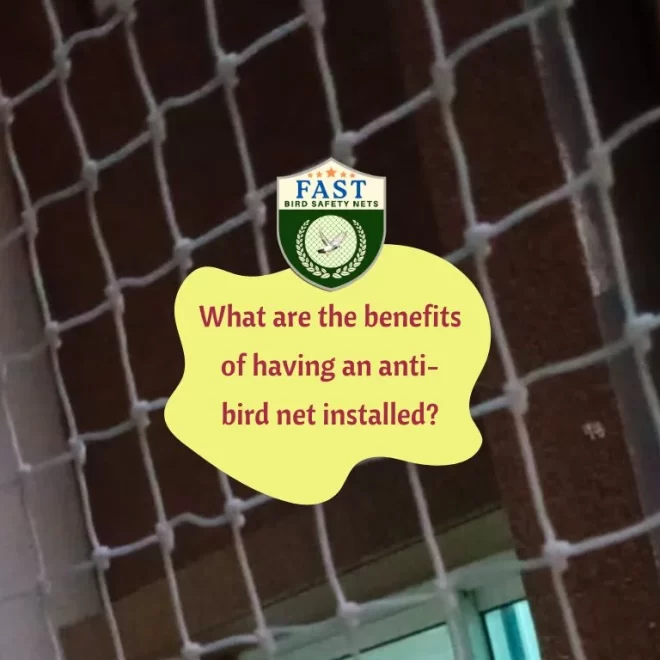 What are the benefits of having an anti-bird net installed?