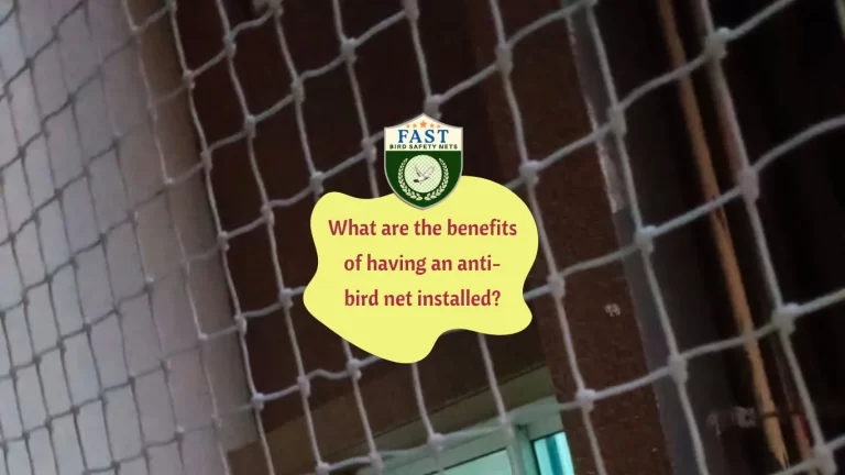 What are the benefits of having an anti-bird net installed?