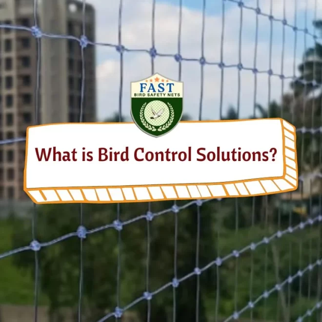 What is Bird Control Solutions?