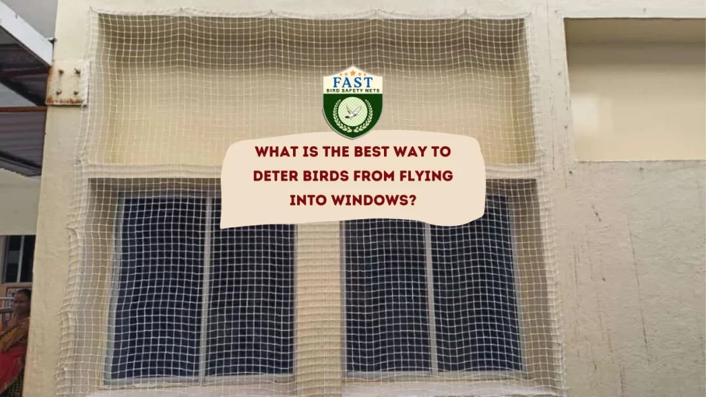 What is the best way to deter birds from flying into Windows?