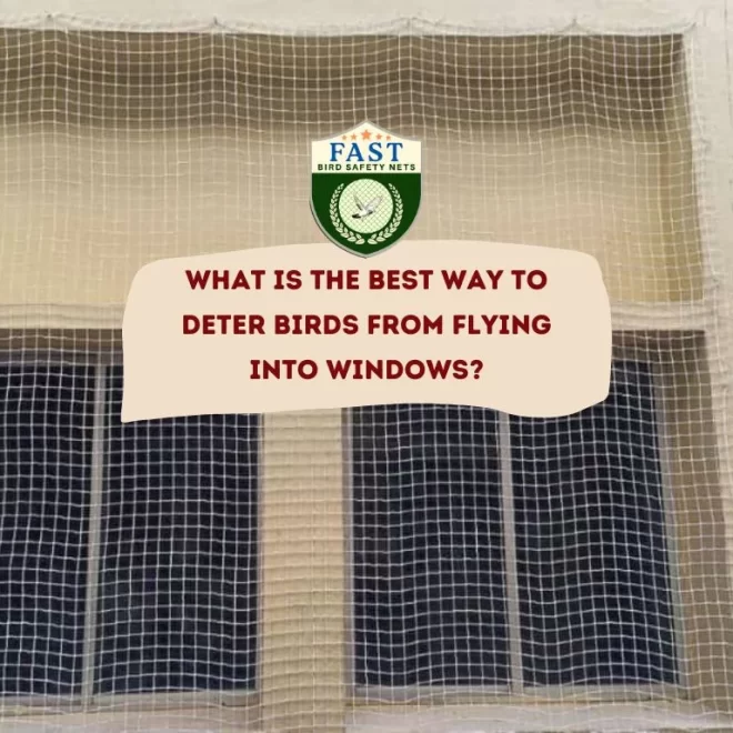 What is the best way to deter birds from flying into Windows?