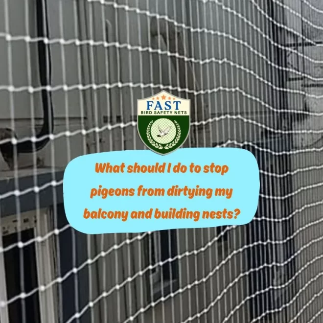 What should I do to stop pigeons from dirtying my balcony and building nests?