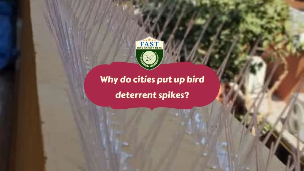 Why do cities put up bird deterrent spikes?