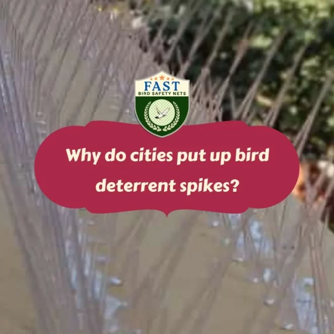 Why do cities put up pigeon deterrent spike?